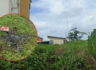 Adolescente en estado delicado tras balazo en la cabeza en Colón