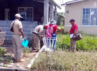 El dengue no da tregua: la pelea empieza en el patio de la casa