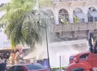 Pánico en la 5 de Mayo: abejas africanas desatan corredera