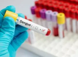 Panamá disminuye casos, hospitalizaciones y defunciones por dengue