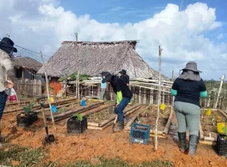 Francia apoya agricultura familiar en el sector de Cartí, comarca Guna Yala