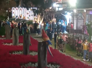 Todo listo para la versión 53 de La Feria de las Flores y del Café en Boquete