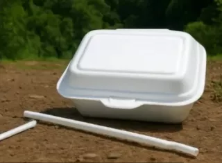 Entra en vigor prohibición de plásticos de un solo uso en áreas protegidas