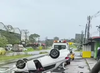 Caída de árboles y accidentes de tránsito este 1 de enero en Colón