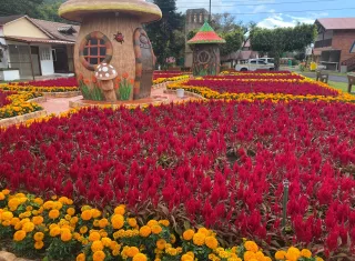 Temporada nacional de ferias inicia el 7 de enero