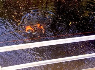 Se presume que el joven se ahogó.  /  Foto: Sinaproc
