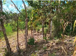 Muere presunto agresor tras balear a enfermera en Atalaya