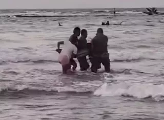 Miembros de la comunidad y del Senan trabajaron conjuntamente para liberar al delfín.