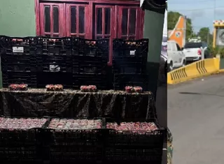 Aprehenden conductor que intentó evadir control con fresas de contrabando