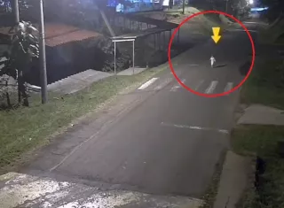La gente se pregunta cómo se salió de su casa.  /  Captura de Video: Centrodecom