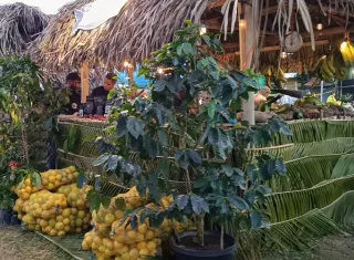 La Feria de la Naranja, feria es también una vitrina para los artesanos que trabajan con la beyota, el junco y la chonta para la confección de sombreros. Foto. Eric Montenegro