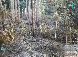 Tres equipos se mantienen vigilantes de las áreas de masa vegetal en Panamá Oeste.  /  Foto: Eric Montenegro