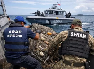 La Resolución Administrativa N°086 de 12 de agosto de 2011, que establece en su Artículo Segundo que todos los buques de pesca deben mantener sus artes de pesca adheridos a la embarcación.