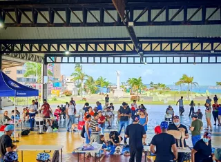 En la provincia también se registran muchos animales abandonados.