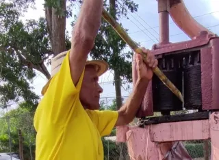 Agropaneleros solicitan normas que protejan la actividad