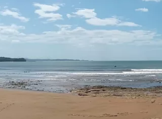 Sinaproc indicó que se mantendrá la vigilancia en el sector y exhortó a reportar de inmediato cualquier nuevo avistamiento para tomar las acciones correspondientes. Foto. Ilustrativa