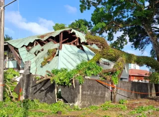 A la 1:00 de la madrugada, el árbol terminó cayendo sobre el inmueble, una vieja estructura que ahora presenta serios daños, dejando a las familias sin condiciones seguras para permanecer en el lugar.