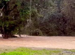 El cuerpo fue ubicado flotando en el agua.  /  Foto ilustrativa: Sinaproc