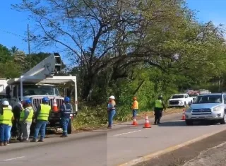Cae poste y obliga a cerrar carril derecho hacia el interior en Panamericana