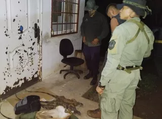 El hombre aprehendido podría enfrentar cargos por presunta violación de las normativas ambientales.  /  Foto: Eric Montenegro