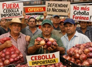 Los cebolleros sostienen que el producto extranjero que ingresó meses atrás debió salir ya del mercado y que su permanencia está impactando la comercialización de la cosecha local.