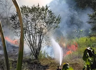 Los incendios no solo devoran la masa vegetal, también ponen a prueba la resistencia de los bomberos forestales.  /  Foto archivo: BCBRP