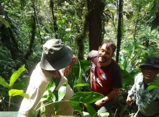 Tras la evaluación se determinó que se encontraba en condición estable.  /  Foto:  PN