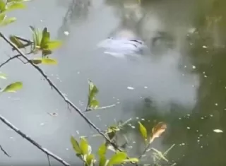 Los residentes del sector se preguntan qué le pasó.  /  Captura de video: Noticia del Este
