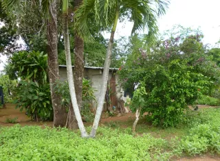 Algunos moradores consideran que aún se requiere fortalecer los servicios y mejorar la atención a las necesidades de las comunidades. Foto. Melquíades Vásquez 