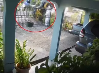 El conductor del Four Wheel vivió para contarlo.  /  Imagen: Captura de video