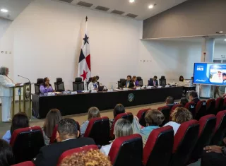 La ministra Beatriz Carles presentó la memoria institucional ante la Comisión de Trabajo, Salud y Desarrollo Social.