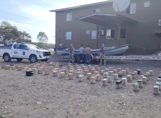 Tras el hallazgo, la embarcación y sus tripulantes fueron retenidos y trasladados bajo coordinación de la Fiscalía de Drogas de Chiriquí hasta la Estación Aeronaval de Quebrada de Piedra