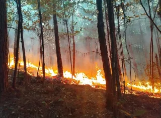 El tercer foco permanece activo y en expansión hacia el sector de Alto de Veladero.  /  Foto: MiAmbiente