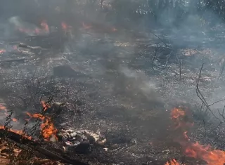 Actualmente solo hay una investigación abierta por incendio, explicó la directora regional del Ministerio de Ambiente, Alexandra Blazer. 