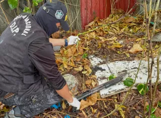 Las armas fueron puestas a órdenes de las autoridades judiciales. Foto: Cortesía