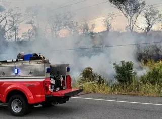 Panamá, Coclé y Chiriquí concentran la mayor cantidad de incendios de masa vegetal atendidos.  /  Foto: BCBRP