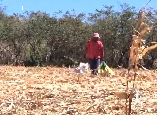 De acuerdo con los voceros del sector, la deuda acumulada por parte del Estado oscila entre 8 y 10 millones de dólares, sin que hasta la fecha se haya hecho efectivo ningún desembolso. Foto. Thays Domínguez