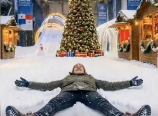 Los organizadores del evento "Snowland" fueron multados con 15 mil dólares por publicidad engañosa.