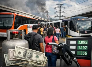 Chapman: sin subsidio subirían pasajes, luz y gas