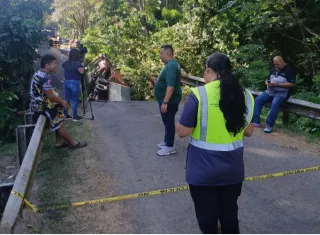 El nuevo puente contará con la construcción de barandales de concreto tipo New Jersey para seguridad vehicular y barandales metálicos para peatones. Foto. Archivo