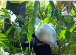 Dos mujeres intentaron meter armas y drogas en La Joyita