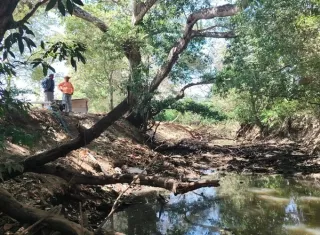 Sequía pone en peligro varios cultivos en Las Margaritas en El Caño de Natá