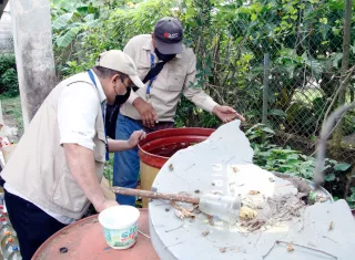Dengue golpea duro: 5 muertos y más de 1,500 casos