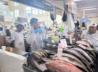 Revisan balanzas en mercados de pescado en todo el país
