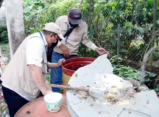Dengue, malaria y chikungunya y  chikungunya acechan en Panamá