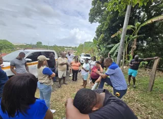Frenan tala no autorizada en el Área Protegida en el Lago Gatún
