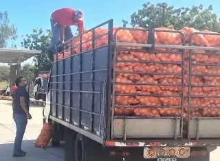 IMA desmiente retiro de cupo a productores de cebolla de Azuero