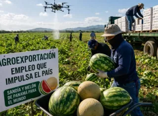 Producción de sandía y melón activa el empleo rural