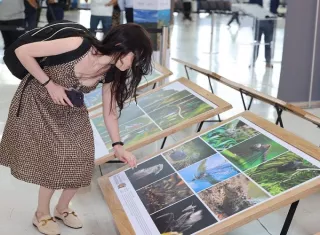 Exhibición 'Nuestras Áreas Protegidas' inicia su recorrido en el aeropuerto