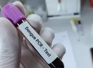 Confirman una muerte por influenza y repunte de dengue en el país